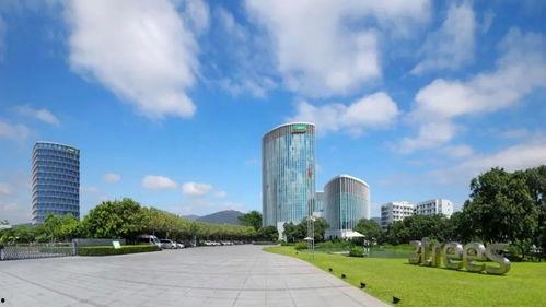 三棵树爆料恒大事件视频,三棵树揭露惊人内幕，深度剖析行业风云